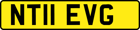 NT11EVG