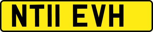 NT11EVH