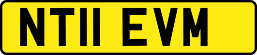 NT11EVM