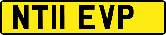 NT11EVP
