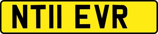 NT11EVR