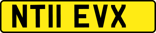 NT11EVX