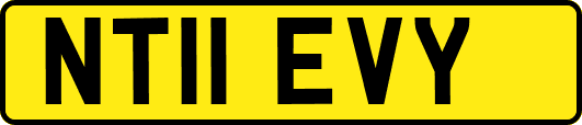 NT11EVY