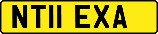 NT11EXA