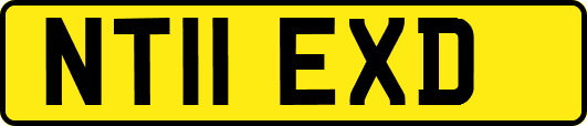 NT11EXD