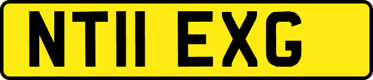 NT11EXG
