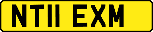 NT11EXM