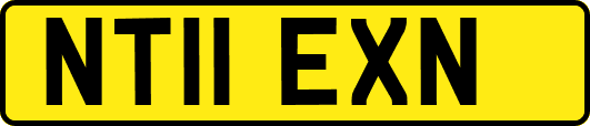 NT11EXN