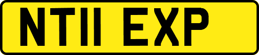 NT11EXP
