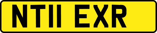 NT11EXR
