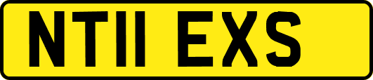 NT11EXS