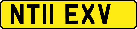 NT11EXV