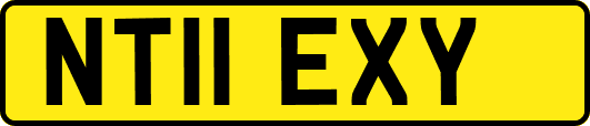 NT11EXY