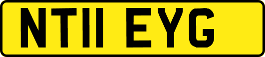NT11EYG