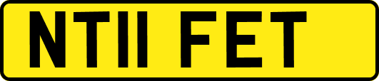 NT11FET