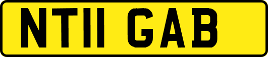 NT11GAB