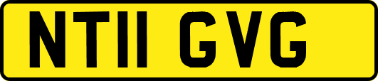 NT11GVG