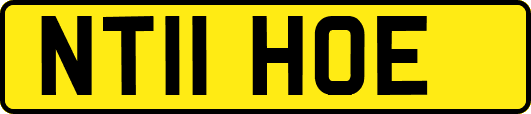 NT11HOE
