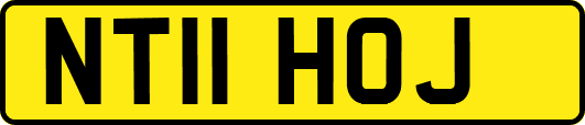 NT11HOJ