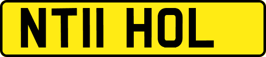 NT11HOL