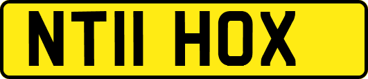 NT11HOX