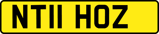 NT11HOZ