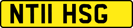 NT11HSG