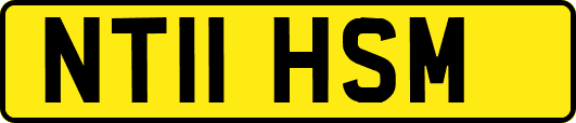 NT11HSM