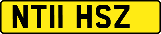 NT11HSZ