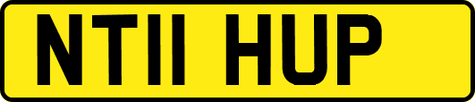 NT11HUP