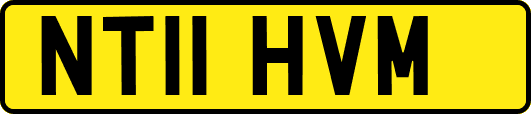 NT11HVM
