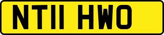 NT11HWO