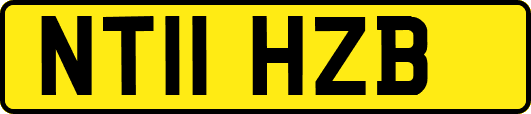 NT11HZB