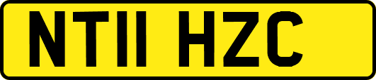 NT11HZC