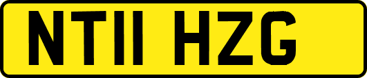 NT11HZG