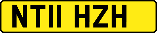 NT11HZH