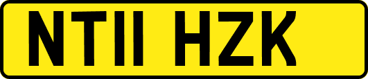 NT11HZK