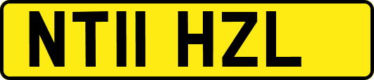 NT11HZL