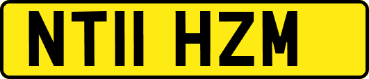 NT11HZM