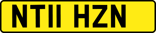 NT11HZN