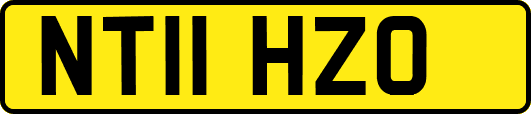 NT11HZO