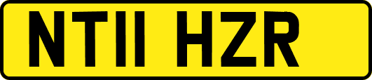 NT11HZR