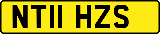 NT11HZS