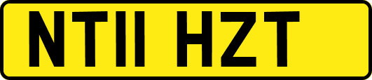 NT11HZT