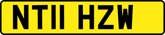 NT11HZW