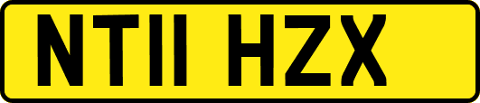 NT11HZX