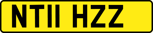 NT11HZZ