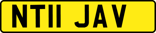 NT11JAV