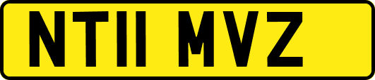 NT11MVZ