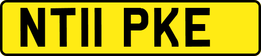 NT11PKE